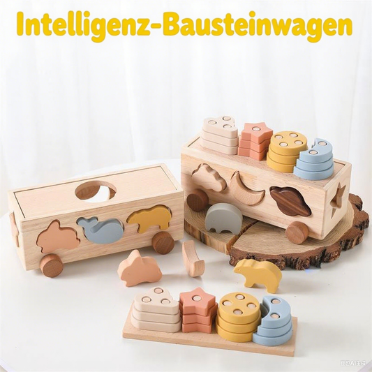 10-in-1 Montessori Toy for Toddlers – Educational Toy for Early Development