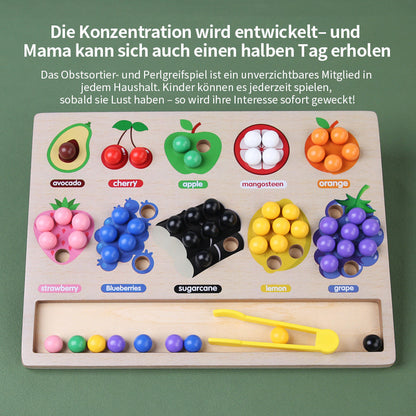 Baby Motorikspielzeug Obst Holzspielzeug